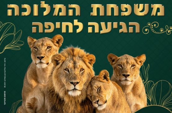 תמונת מופע: גן חיות